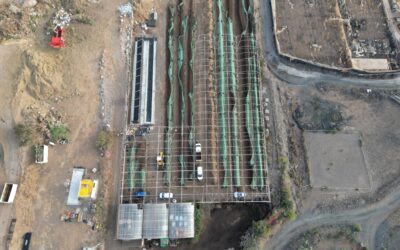 Ayagaures Medioambiente se suma al Foro Ecoislas para promover el desarrollo de mercados de carbono en Canarias